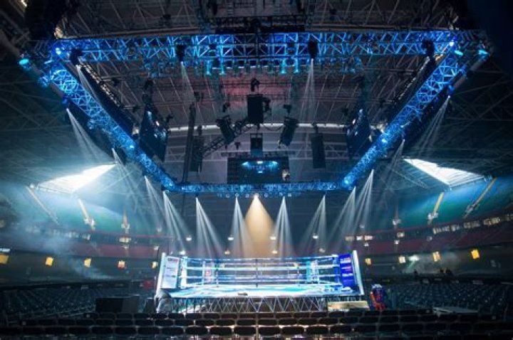 Anthony Joshua knuckles: How does it look like? (Photos) 4 Boxing Principality Stadium