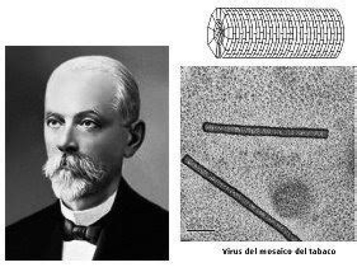 Dmitri Ivanovsky Dmitri Ivanovsky