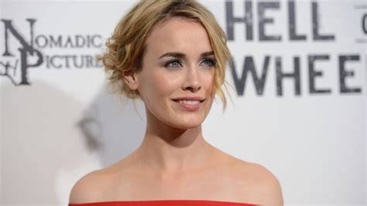 Dominique McElligott Net Worth