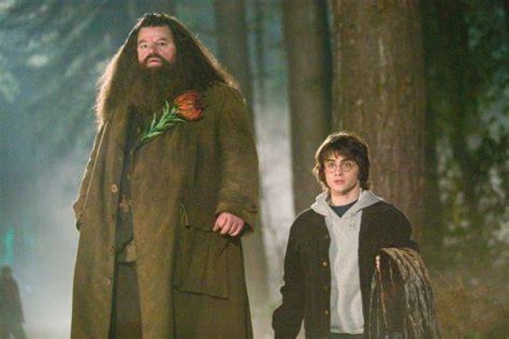 How did they make Hagrid look so tall?