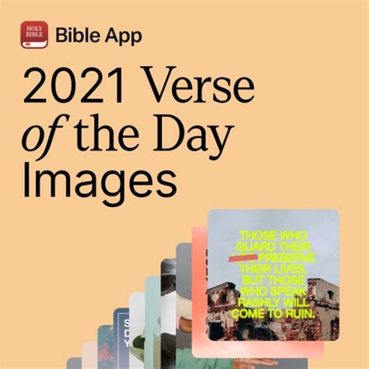 images 3 1