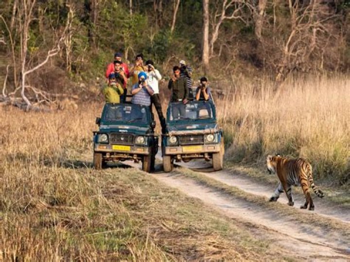 Jim Corbett
