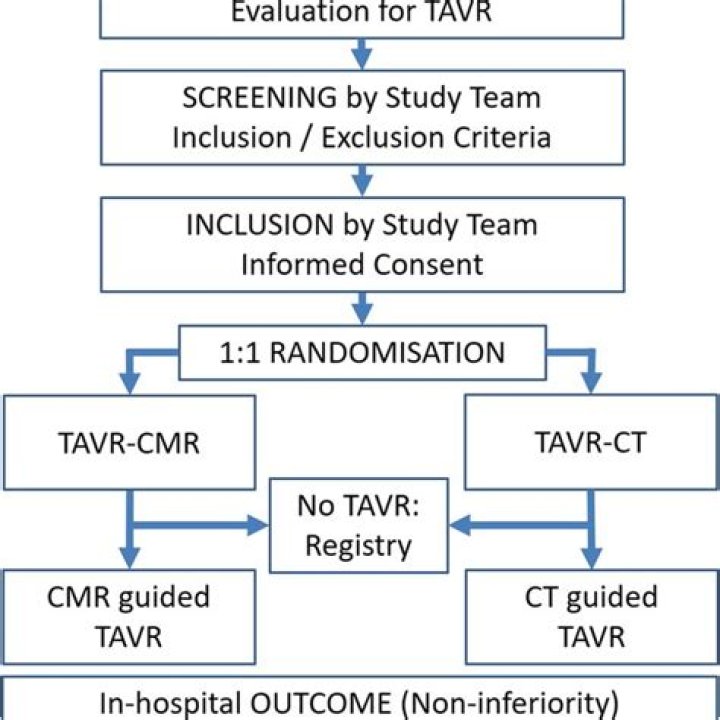 Study Shows TAVR Is Effective Option for Low-Risk Patients with Severe Aortic Valve Stenosis