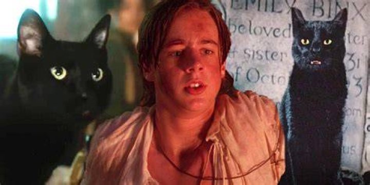 Thackery Binx Hocus Pocus