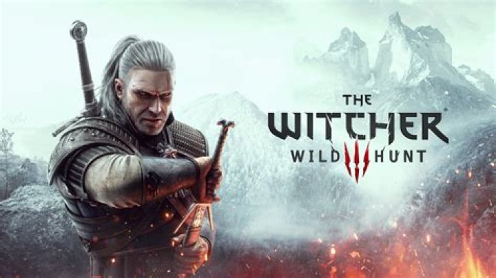 the witcher wild hunt